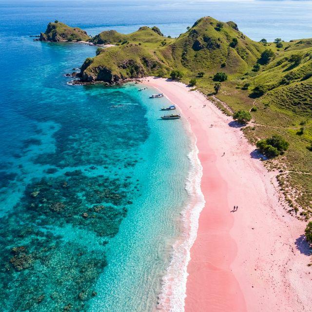 Foraminifera: Organisme Mikroskopis di Balik Keindahan Pink Beach Labuan Bajo
